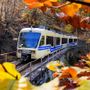 Tutte le sfumature dell’autunno nel Distretto dei Laghi: tra foliage, trekking, sapori ed eventi