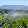 Coldiretti Novara-Vco: "L'acqua è una priorità strategica, servono invasi e una rete idrica più efficiente" Coldiretti Novara-Vco: "L'acqua è una priorità strategica, servono invasi e una rete idrica più efficiente"