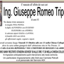 Ing. Giuseppe Romeo Tripepi83 anni