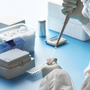 Hantavirus, la regione invia la circolare del ministero ad Asl e professionisti: "Nessun allarme" Hantavirus, la regione invia la circolare del ministero ad Asl e professionisti: "Nessun allarme"