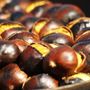 Castagne, il superfood d’autunno: in Piemonte produzione in crescita e qualità ottima Castagne, il superfood d’autunno: in Piemonte produzione in crescita e qualità ottima