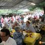 Musica, cucina trentina e appuntamenti per tutti: continua la Festa della Lucciola