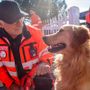 Protezione civile, accordo tra Anpas Piemonte e unità medico veterinaria volontaria Protezione civile, accordo tra Anpas Piemonte e unità medico veterinaria volontaria