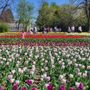 Torna la “Domenica ai Giardini” a Villa Taranto