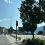Decoro urbano a Verbania, la Dc: “Più attenzione a vicoli, periferie e verde pubblico” Decoro urbano a Verbania, la Dc: “Più attenzione a vicoli, periferie e verde pubblico”