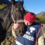 A Verbania l'evento &quot;Un cuore per il cavallo amico&quot;