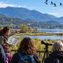 Fondotoce, una passeggiata tra natura e letteratura alla scoperta degli animali migratori