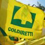 Emergenza siccità tra Novara e il Vco, Coldiretti lancia l’allarme: "Subito lo stato d'emergenza, raccolti a rischio" Emergenza siccità tra Novara e il Vco, Coldiretti lancia l’allarme: "Subito lo stato d'emergenza, raccolti a rischio"