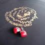 Boxe Verbania torna sul ring con “Schiuma &amp; Incontri”