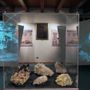 “Da picasass a stonecutter”: Baveno racconta l'emigrazione degli scalpellini