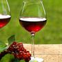 A Baveno la Festa del vino: degustazioni e musica sul lungolago