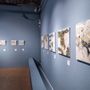 "Terre Inquiete", nuovo appuntamento con la mostra di Tullio Pericoli al Museo del Paesaggio