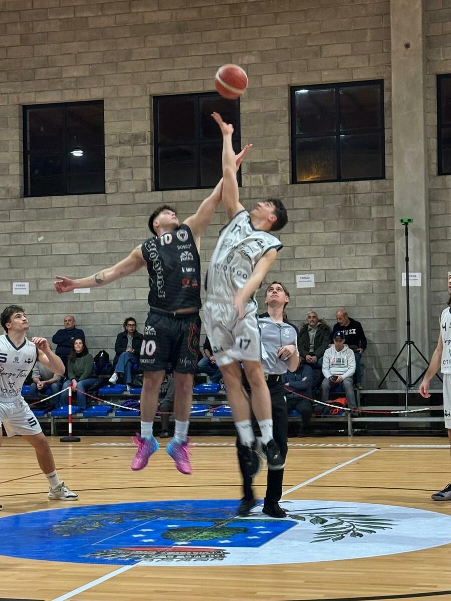 Autotrasporti Sacchi Foma, via ai play-off: sfida agli Spaccalegna in gara 1 Autotrasporti Sacchi Foma, via ai play-off: sfida agli Spaccalegna in gara 1