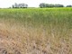 Siccità in Piemonte, Coldiretti chiede lo stato di calamità naturale Siccità in Piemonte, Coldiretti chiede lo stato di calamità naturale