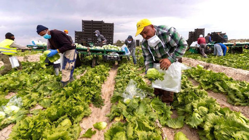 &quot;Il Piemonte può essere modello contro lo sfruttamento lavorativo”