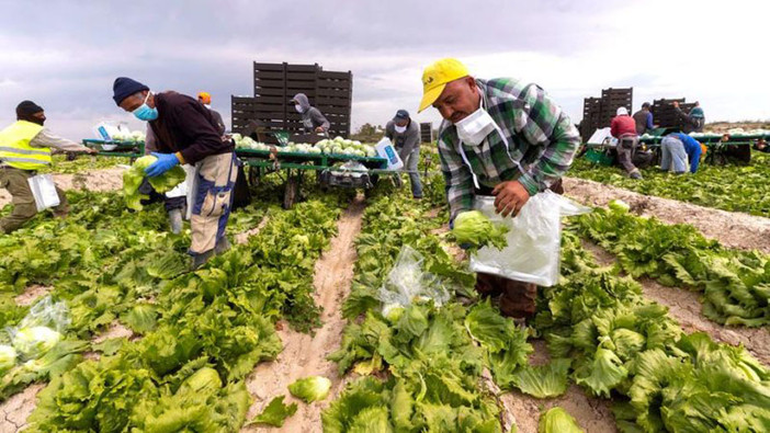 &quot;Il Piemonte può essere modello contro lo sfruttamento lavorativo”
