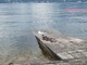 Verbania, emozione sul lago: una nidiata conquista turisti e passanti FOTO Verbania, emozione sul lago: una nidiata conquista turisti e passanti FOTO