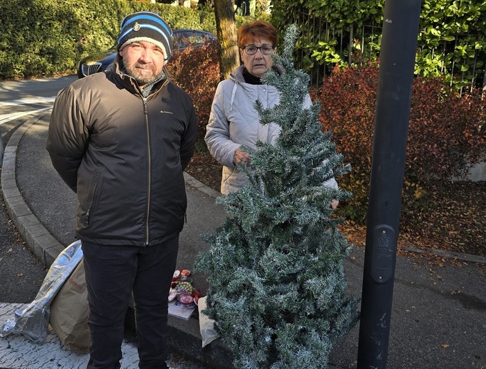 Decorazioni natalizie danneggiate a Intra: il Comitato 10 Febbraio dona un nuovo albero