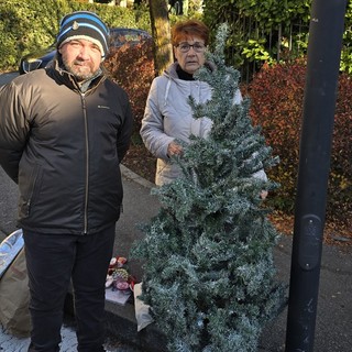 Decorazioni natalizie danneggiate a Intra: il Comitato 10 Febbraio dona un nuovo albero
