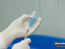 Al via la campagna di vaccinazione antinfluenzale e anti-Covid-19