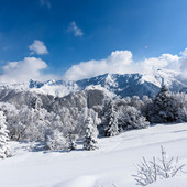 L’inverno che “respira”: la montagna dell’Alto Piemonte tra sport, cultura e sostenibilità L’inverno che “respira”: la montagna dell’Alto Piemonte tra sport, cultura e sostenibilità