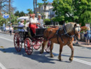 A Stresa due giorni di bellezza e storia con “Sull’armonia del Liberty” A Stresa due giorni di bellezza e storia con “Sull’armonia del Liberty”