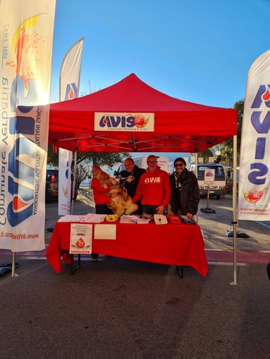 Avis Verbania in assemblea: bilancio e rinnovi al centro dell’incontro