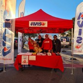 Avis Verbania in assemblea: bilancio e rinnovi al centro dell’incontro