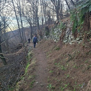 Stresa, i volontari del Cips al lavoro per i sentieri della località Falchetti Stresa, i volontari del Cips al lavoro per i sentieri della località Falchetti