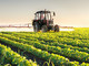 Coldiretti Piemonte: "Dall'Europa segnali preoccupanti su salute e agricoltura" Coldiretti Piemonte: "Dall'Europa segnali preoccupanti su salute e agricoltura"