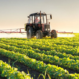 Coldiretti Piemonte: "Dall'Europa segnali preoccupanti su salute e agricoltura"