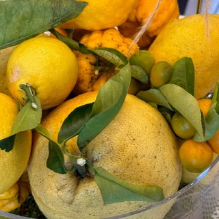 Agrumi di Cannero: il primo amaro agrumato piemontese nasce sul lago Maggiore