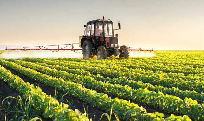 Coldiretti Piemonte: "Dall'Europa segnali preoccupanti su salute e agricoltura" Coldiretti Piemonte: "Dall'Europa segnali preoccupanti su salute e agricoltura"
