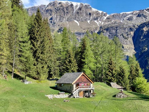 Musica in Quota, doppio appuntamento tra Premia e Domobianca con il gran finale di Omar Pedrini Musica in Quota, doppio appuntamento tra Premia e Domobianca con il gran finale di Omar Pedrini