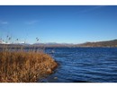 Legambiente, bilancio non positivo per il lago Maggiore. Meglio  quello di Orta