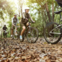 Con Fiab Vco una cicloescursione sulla &quot;Via delle Azalee&quot;