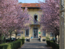 Anche a Verbania si celebra la Giornata dell'Europa
