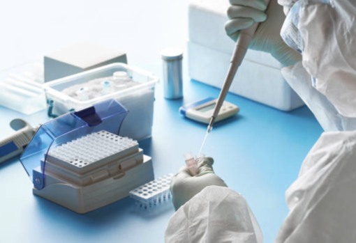 Hantavirus, la regione invia la circolare del ministero ad Asl e professionisti: "Nessun allarme"
