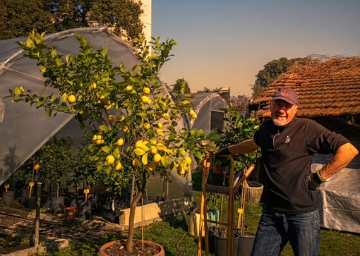 Gli agrumi rari di Cannero conquistano i Touchpoint Award: premiato Oramaro