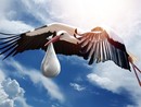 Solo in quindici comuni del Vco si nasce di più che nel resto d'Italia