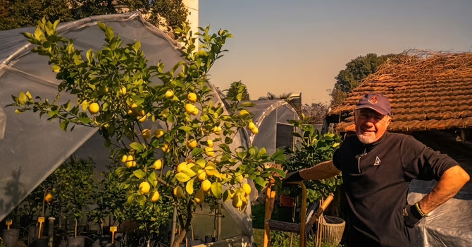 Gli agrumi rari di Cannero conquistano i Touchpoint Award: premiato Oramaro