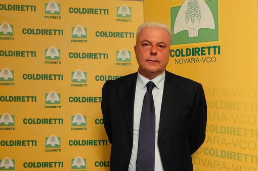 Domenico Pautasso Domenico Pautasso