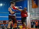Boxe Verbania trionfa alla Notte dei Guerrieri Ossolani