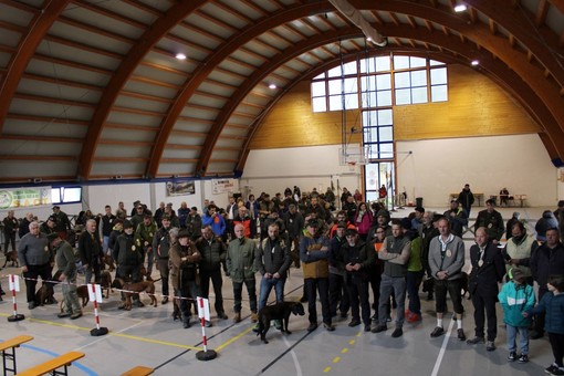 Druogno ha ospitato il raduno nazionale di cani da recupero FOTO