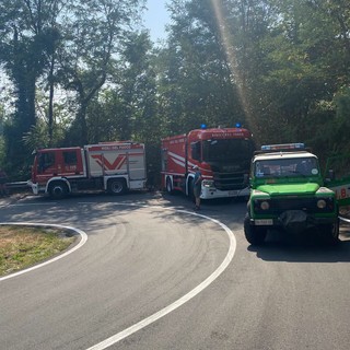 Incendio nei boschi sopra Cambiasca, fiamme spente grazie al rapido intervento dei soccorritori