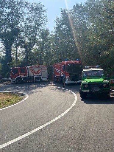 Incendio nei boschi sopra Cambiasca, fiamme spente grazie al rapido intervento dei soccorritori Incendio nei boschi sopra Cambiasca, fiamme spente grazie al rapido intervento dei soccorritori