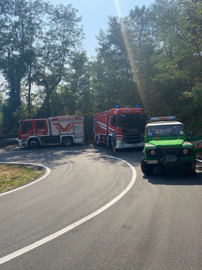 Incendio nei boschi sopra Cambiasca, fiamme spente grazie al rapido intervento dei soccorritori Incendio nei boschi sopra Cambiasca, fiamme spente grazie al rapido intervento dei soccorritori