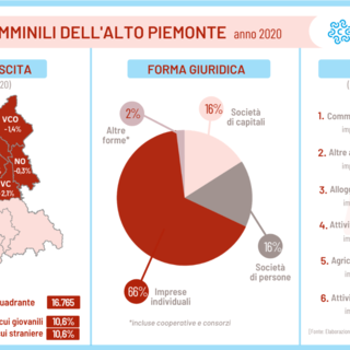 Imprenditoria femminile, nel 2020 avviate quasi 900 imprese nelle province del quadrante