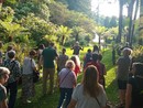 I giardini di Villa Taranto, la sorpresa dell'estate I giardini di Villa Taranto, la sorpresa dell'estate