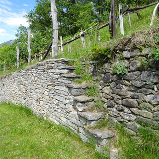 Dissesto idrogeologico e terrazzamenti: se ne parla in un convegno di Comuniterrae